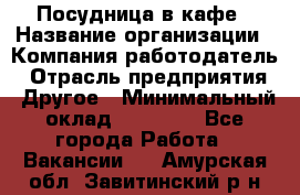 Посудница в кафе › Название организации ­ Компания-работодатель › Отрасль предприятия ­ Другое › Минимальный оклад ­ 14 000 - Все города Работа » Вакансии   . Амурская обл.,Завитинский р-н